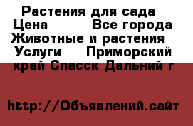 Растения для сада › Цена ­ 200 - Все города Животные и растения » Услуги   . Приморский край,Спасск-Дальний г.